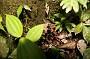P_2007-12-16 15-57-50_1144